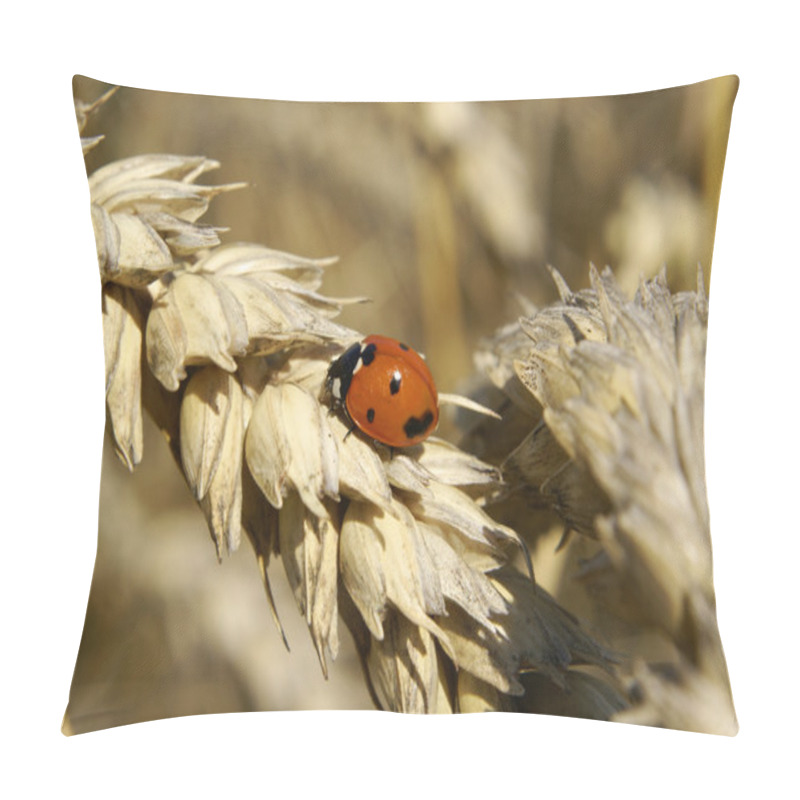 Personality  Ladybug On Barley Pillow Covers