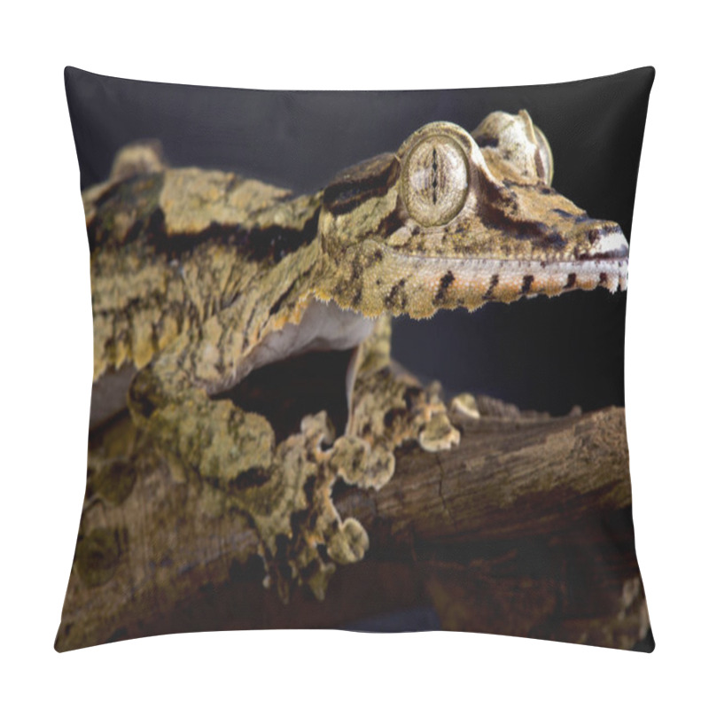 Personality  The Giant Leaf Tailed Gecko (Uroplatus Giganteus) Is One Of The Biggest Gecko Species In The World. They Are Endemic To Northern Madagascar. Pillow Covers