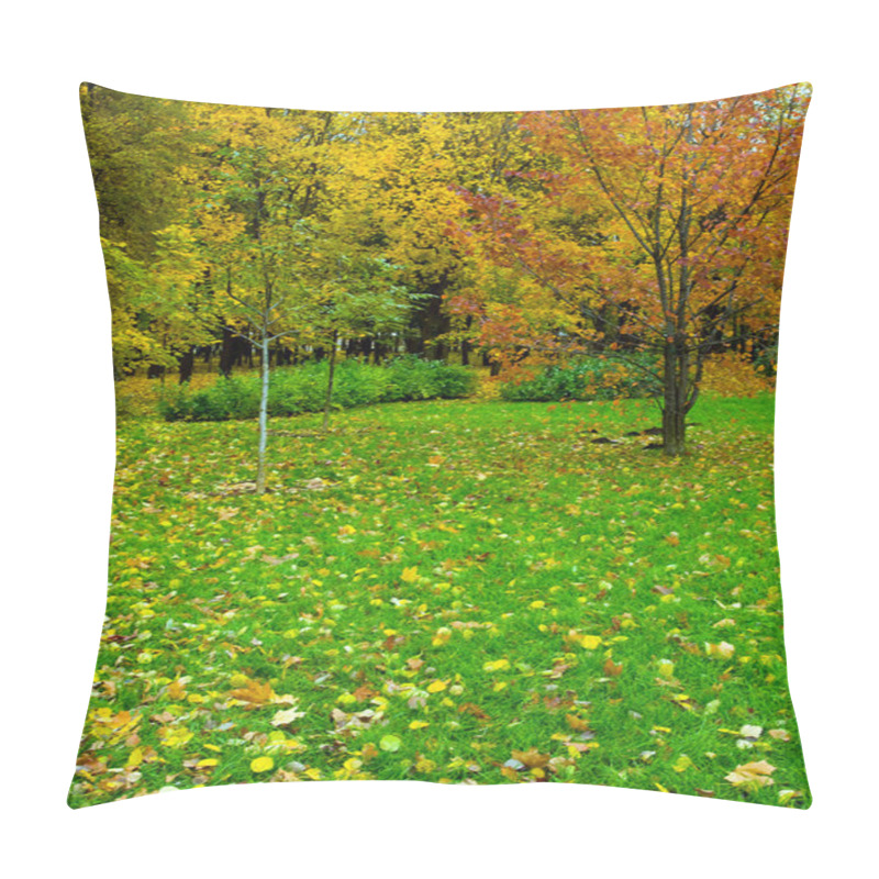 Personality  Beautiful Autumn Park Pillow Covers