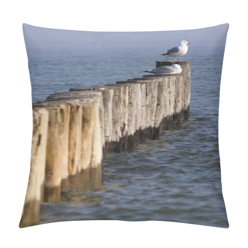 Personality  Coastal Protection In Mecklenburg-Vorpommern (Germany) 02 Pillow Covers