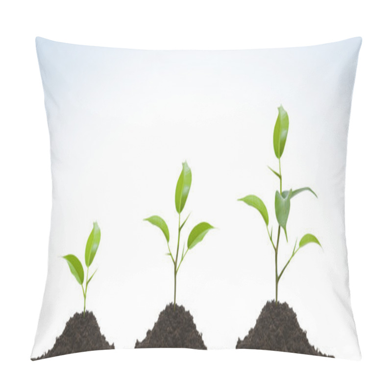 Personality  Evolution Of A Young Plant Pillow Covers