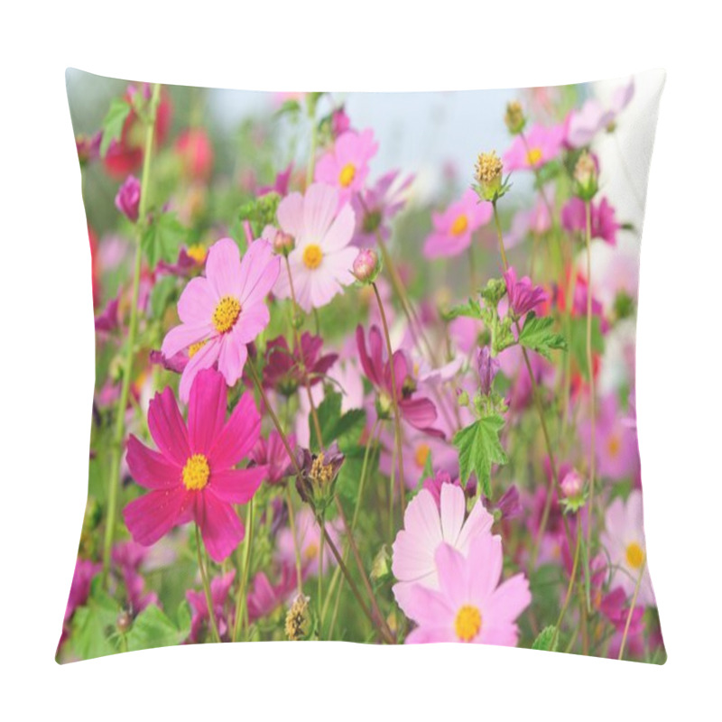 Personality  Beautiful Cosmos Flowers Pillow Covers