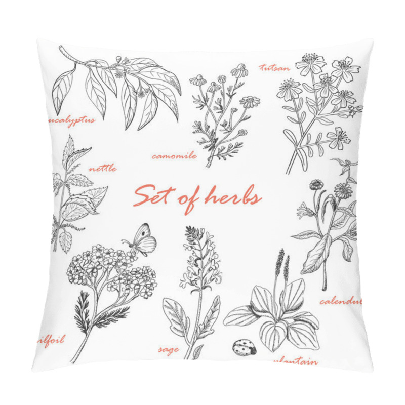 Personality  Set Of Isolated Herbs In Sketch Style Pillow Covers