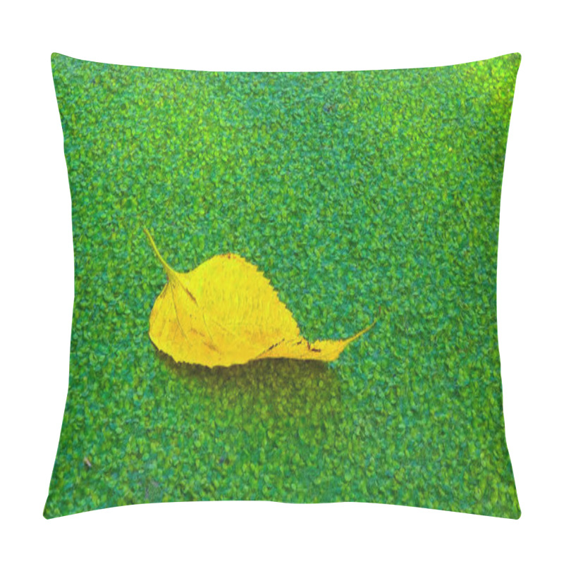 Personality  Falling Into The Water Covered With Duckweed -Lemna Minor, The Leaves Of The Trees Float On The Surface Pillow Covers