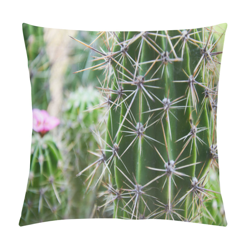 Personality  A Green Cactus With Large Spines And A Pink Flower. Blooming Cactus. Close-up. Pillow Covers