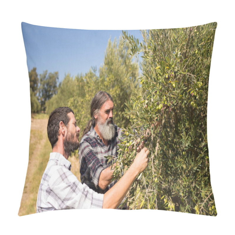 Personality  Friends Examining Olive On Plant Pillow Covers