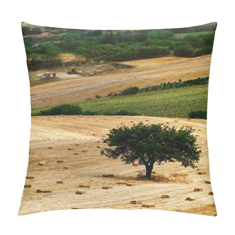 Personality  Golden Wheat Fields With Lone Tree And Rolling Hills In Summer Pillow Covers