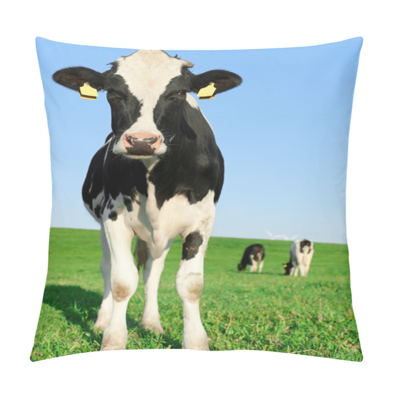 Personality  Inquisitive Holstein Frisian Cow Pillow Covers