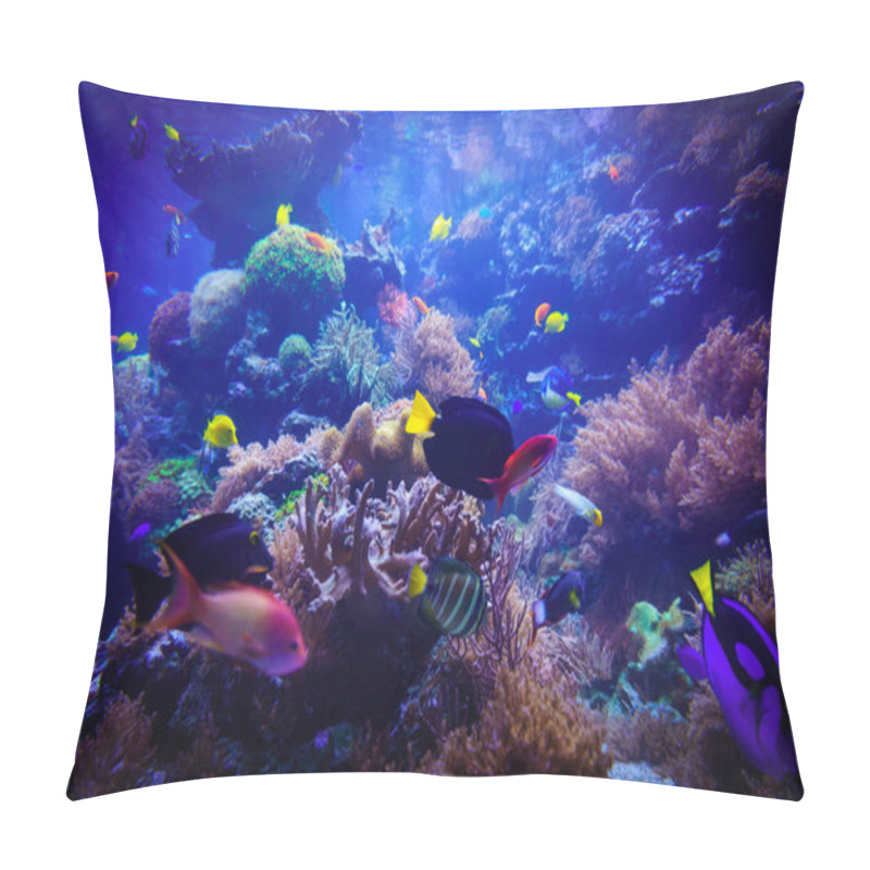 Personality  Underwater Background. Underwater Scene. Underwater World. Under Pillow Covers