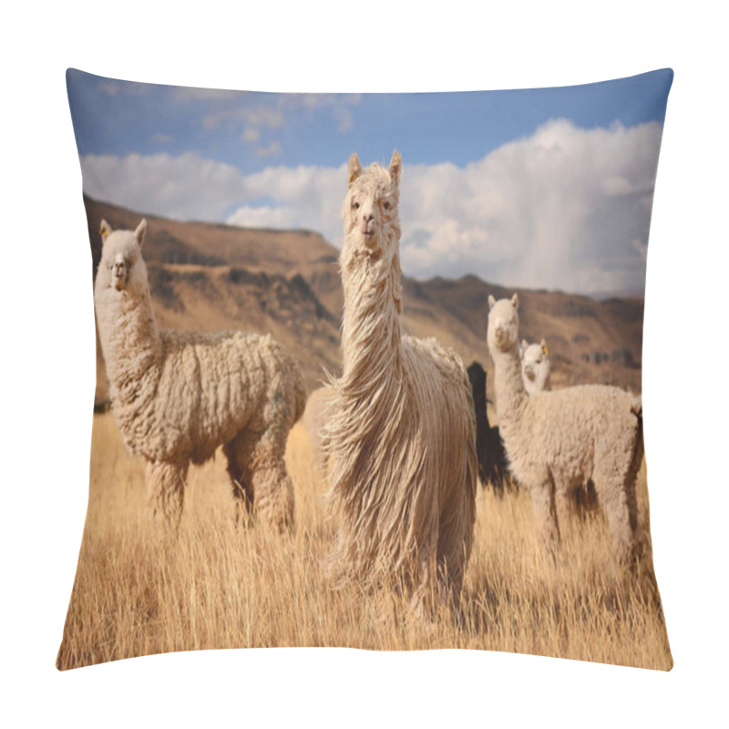 Personality  Alpacas In Andes Mountains, Peru Pillow Covers