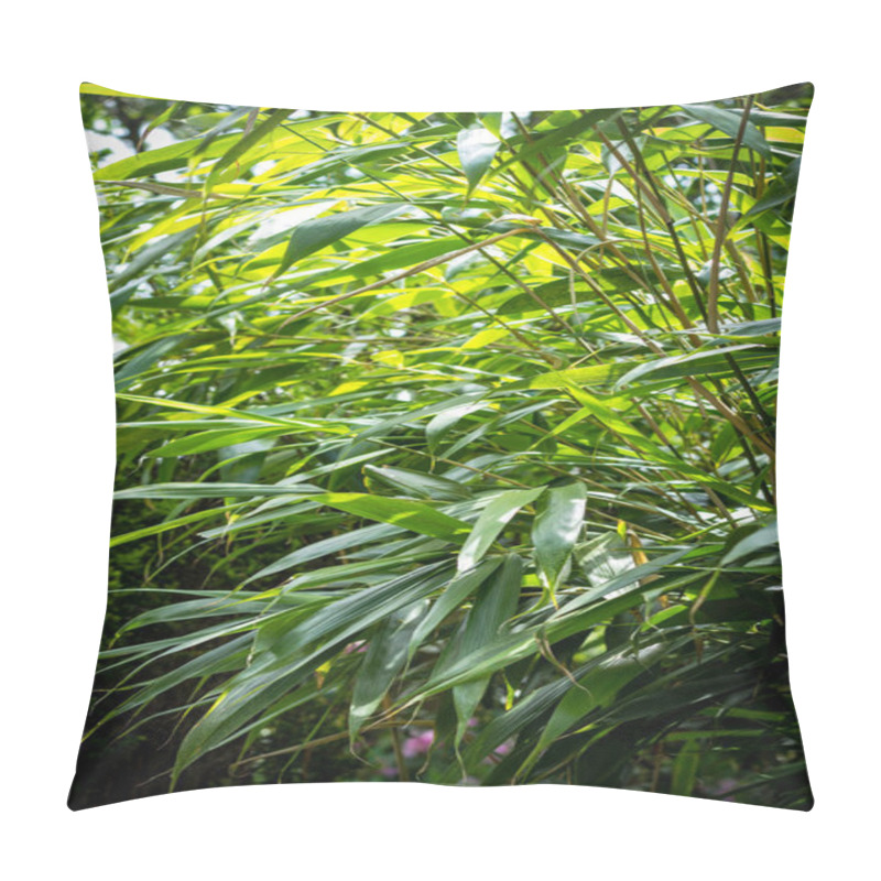 Personality  Bamboo Tree Leaves. Exotic Plants, Green, Patterned Background Pillow Covers