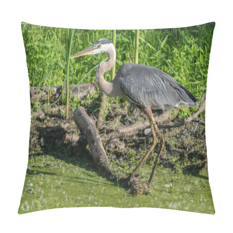 Personality  Great Blue Heron Side Profile While Perched On A Log On A Sunny Day In The Wet Lands Pillow Covers