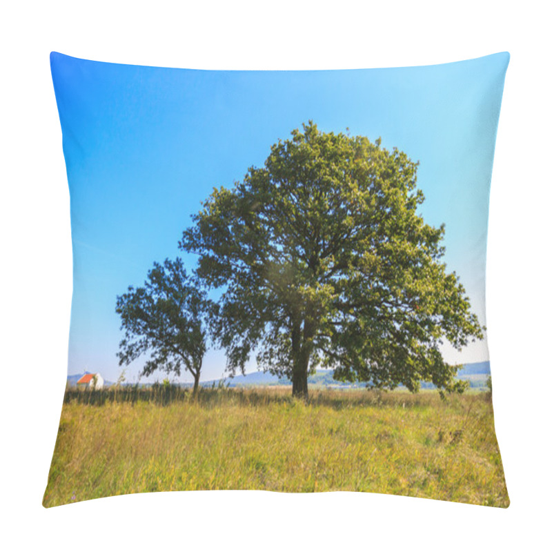 Personality  Lonely Oak Tree On The Meadow Pillow Covers