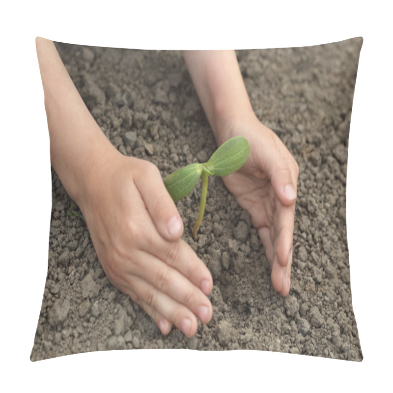 Personality  Green Sprout In Child Hand Pillow Covers