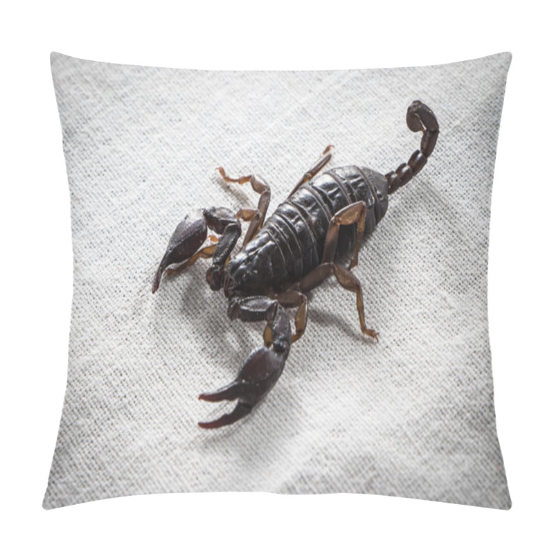 Personality  Photo Of Small Scorpion Pillow Covers