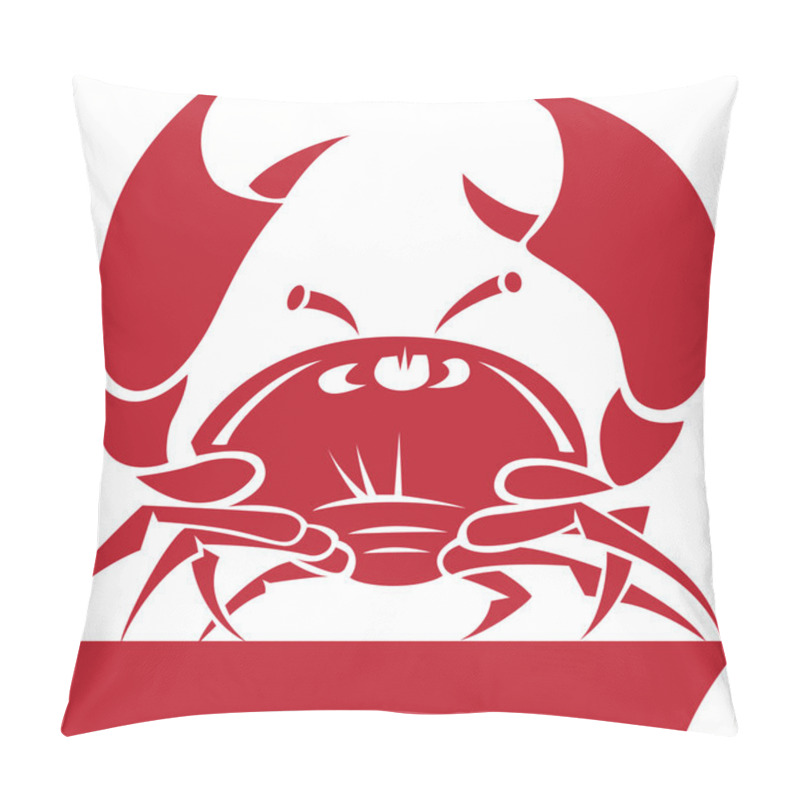 Personality  Cancer Zodiac Pillow Covers