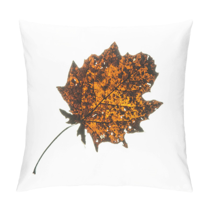 Personality  Cracked Orange Autumn Leaf Pillow Covers