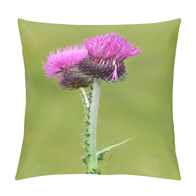 Personality  Natural Thorns, Purple Flowering Thorn Photos Pillow Covers