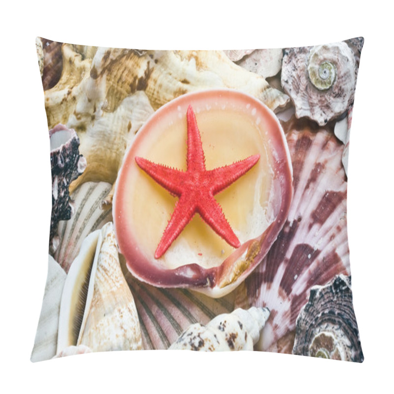 Personality  Shells Pillow Covers