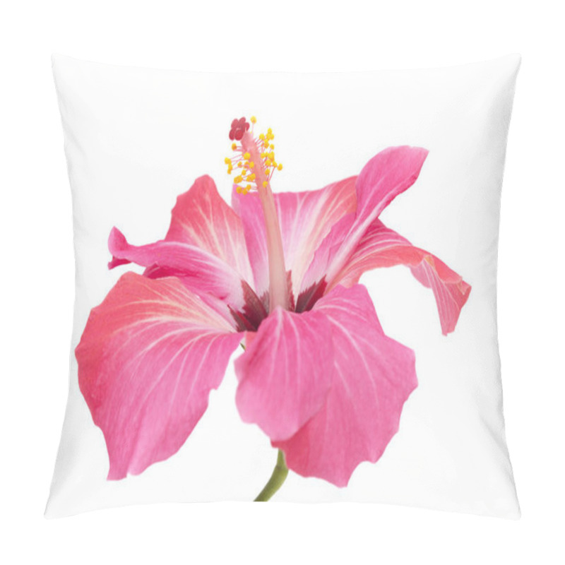 Personality  Pink Hibiscus Flower Isolated Pillow Covers