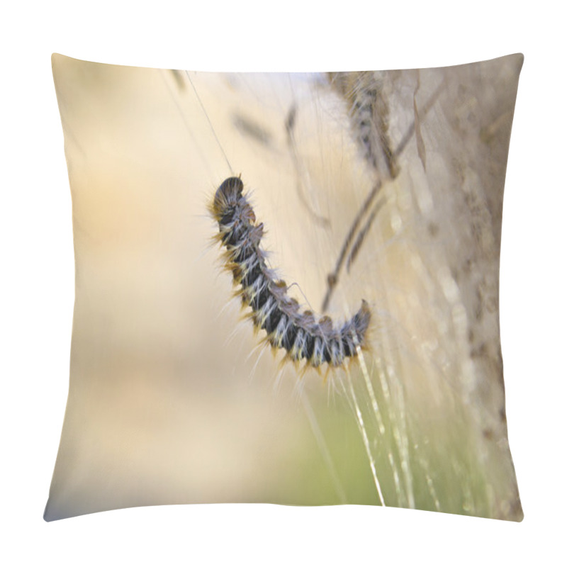 Personality  Processionary Caterpillar Macro Pillow Covers