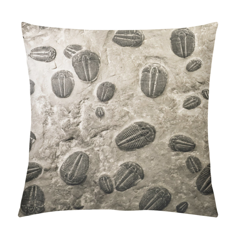 Personality  Ancient Trilobites Fossils Pillow Covers