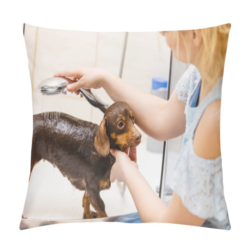 Personality  Woman Taking Care Of Her Little Dog. Female Washing, Cleaning Dachshund Under The Shower. Animals Hygiene Concept. Pillow Covers