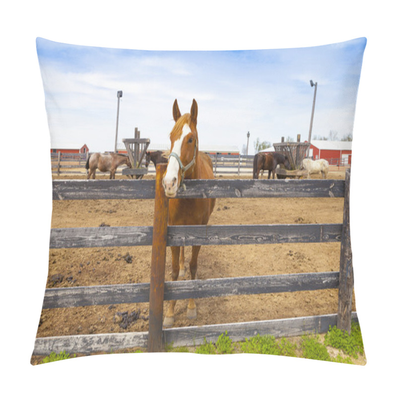 Personality  Horse Pillow Covers