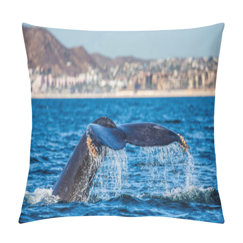 Personality  Tail Of Humpback Whale Pillow Covers