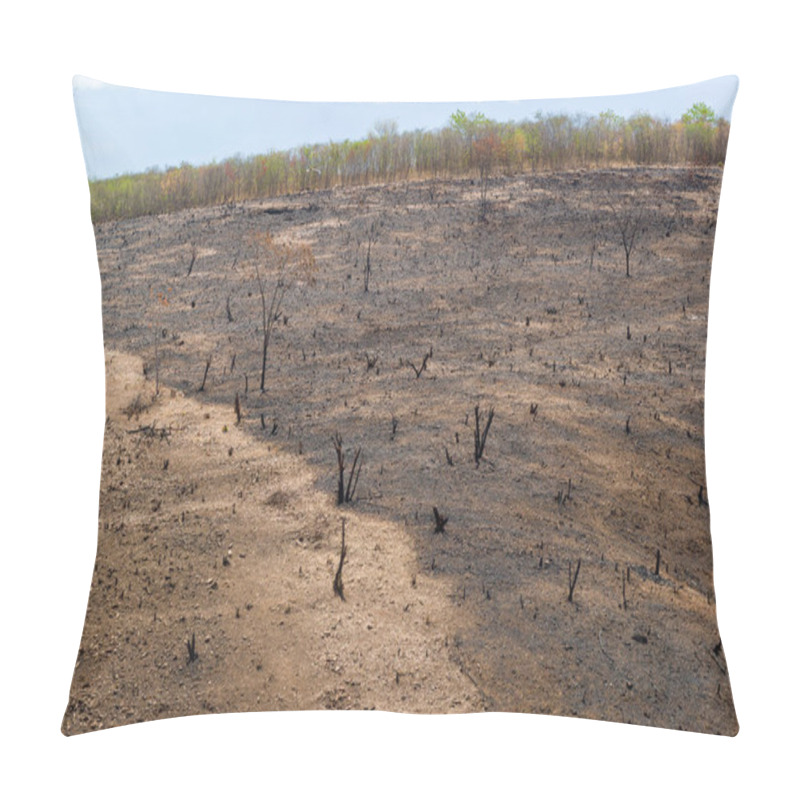 Personality  Burning Deforestation Of The Brazilian Caatinga Biome In Barro, Ceara, Brazil On December 21, 2020. Pillow Covers