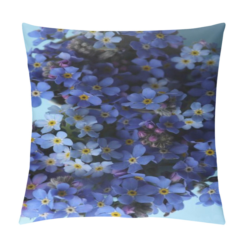 Personality  Top View Of Beautiful Blue Forget-me-not Flowers Pillow Covers