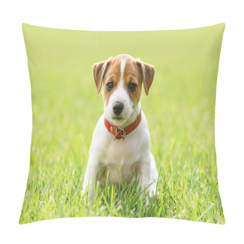 Personality  A Small White Dog Puppy Breed Jack Russel Terrier Pillow Covers