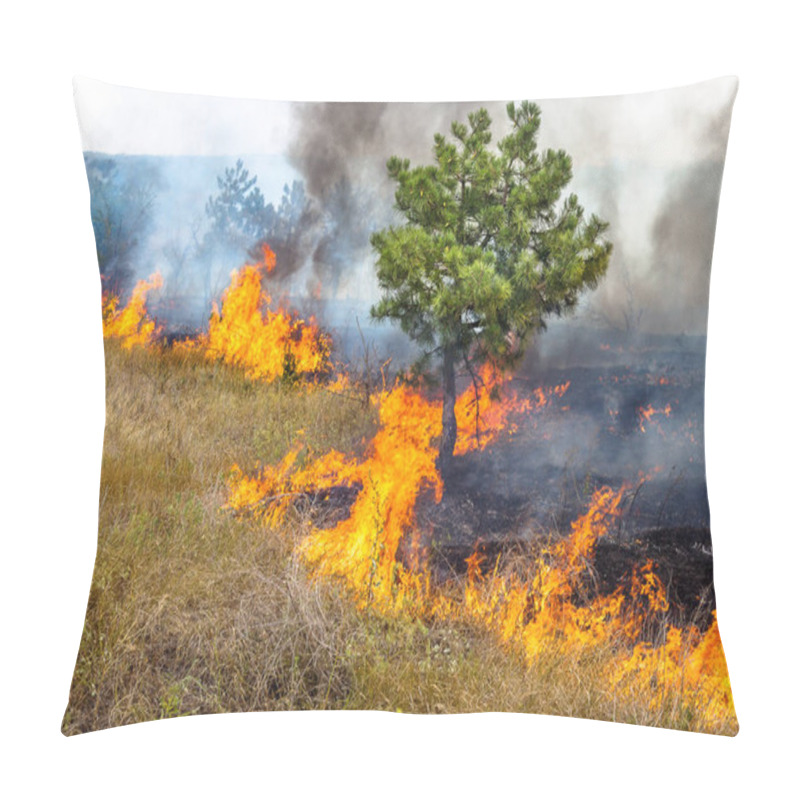 Personality   Severe Drought. Forest Fires In The Dry Wind Completely Destroy The Forest And Steppe. Disaster For Ukraine Brings Regular Damage To Nature And The Region's Economy. Pillow Covers