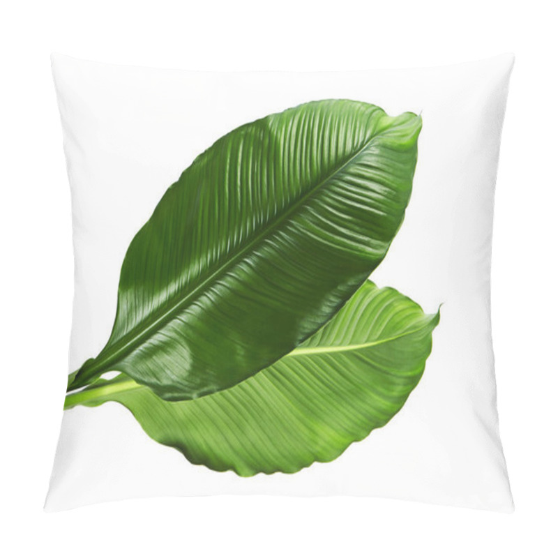 Personality  Large Leaves Of Spathiphyllum Or Peace Lily, Fresh Green Foliage Isolated On White Background, With Clipping Path Pillow Covers