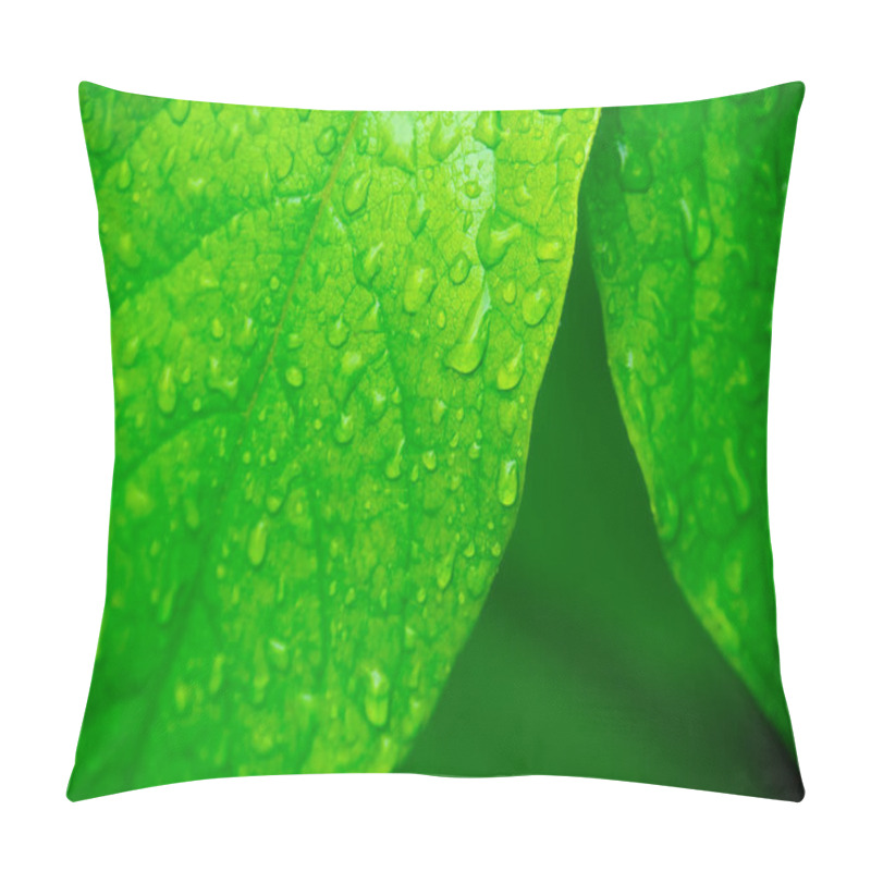 Personality  Green Leves With Water Drops, Macro, Nature Background Pillow Covers