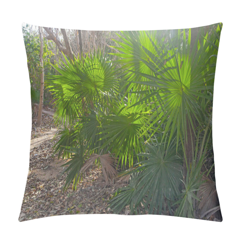 Personality  Early Morning In Park Near Tulum Ruins, Mexico Pillow Covers