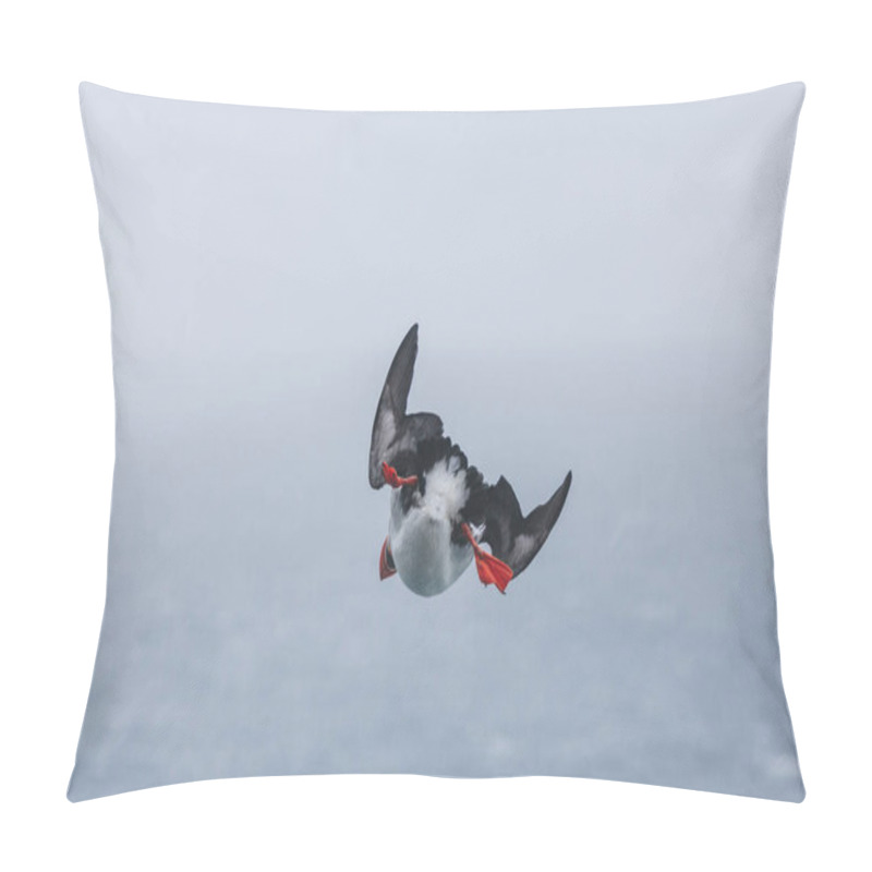 Personality  Flying Pillow Covers