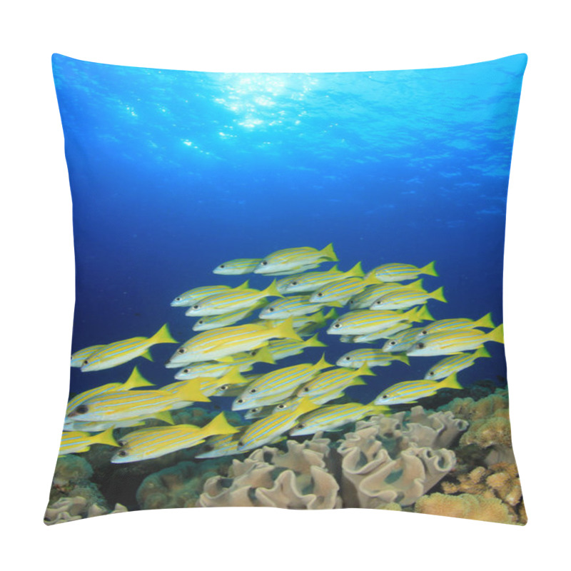 Personality  Marine Inhabitants With Underwater Scene In Deep Blue Ocean Pillow Covers