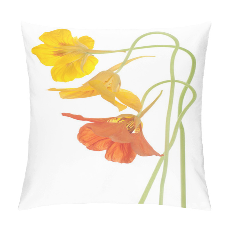 Personality  Nasturtium Pillow Covers