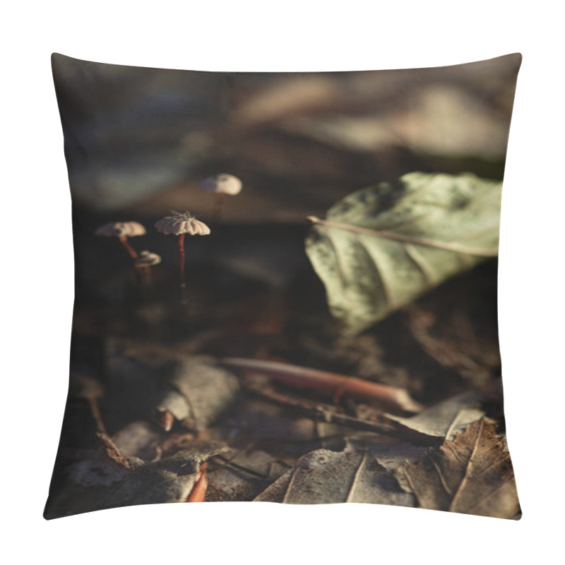 Personality  Tiny Mushrooms With Textured Caps, Dark Forest Setting Pillow Covers