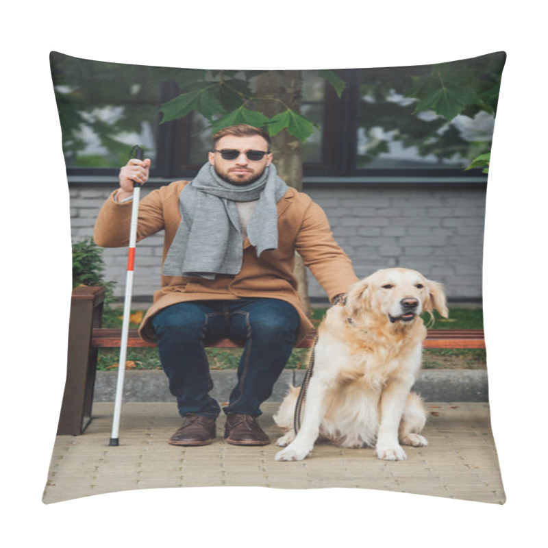 Personality  Blind Man With Walking Stick Sitting On Bench Beside Guide Dog Pillow Covers