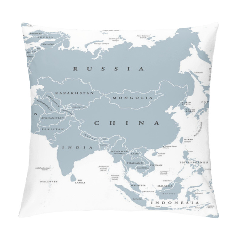 Personality  Asia Political Map Pillow Covers