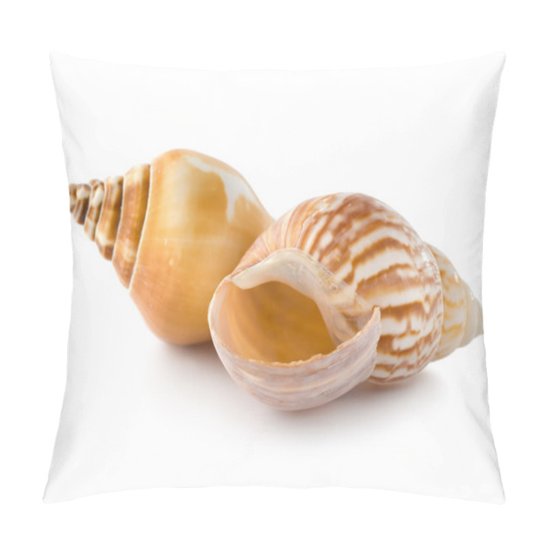 Personality  Two Seashells Pillow Covers