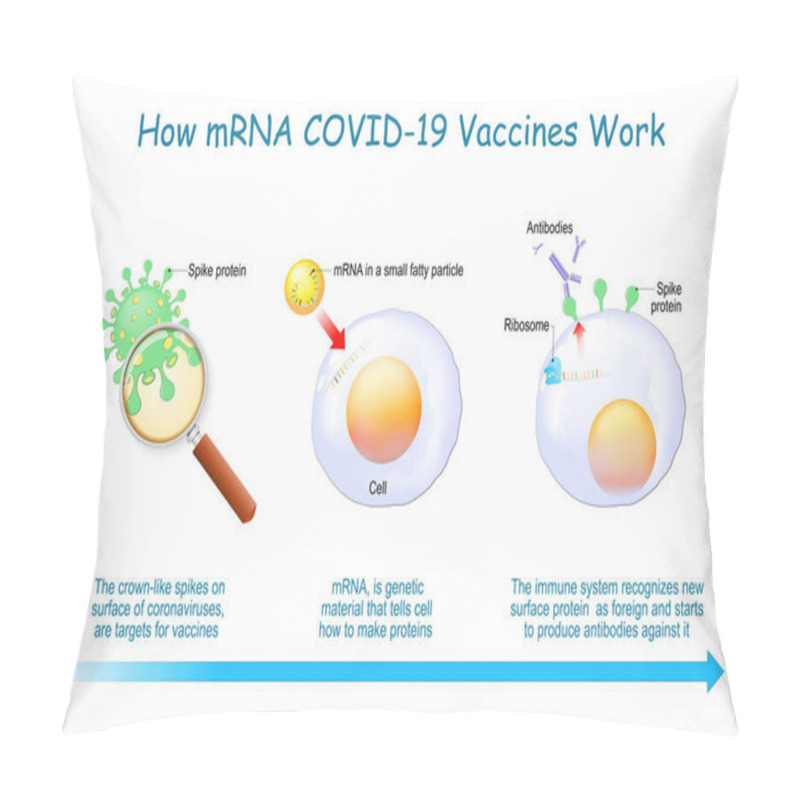 Personality  How MRNA Vaccines Work. COVID-19. Pandemics Caused Development Of The MRNA Technology For New Way To Deliver A Messenger RNA Into A Cell To Produce Antigens And Antibodies For Different Disease. Pillow Covers