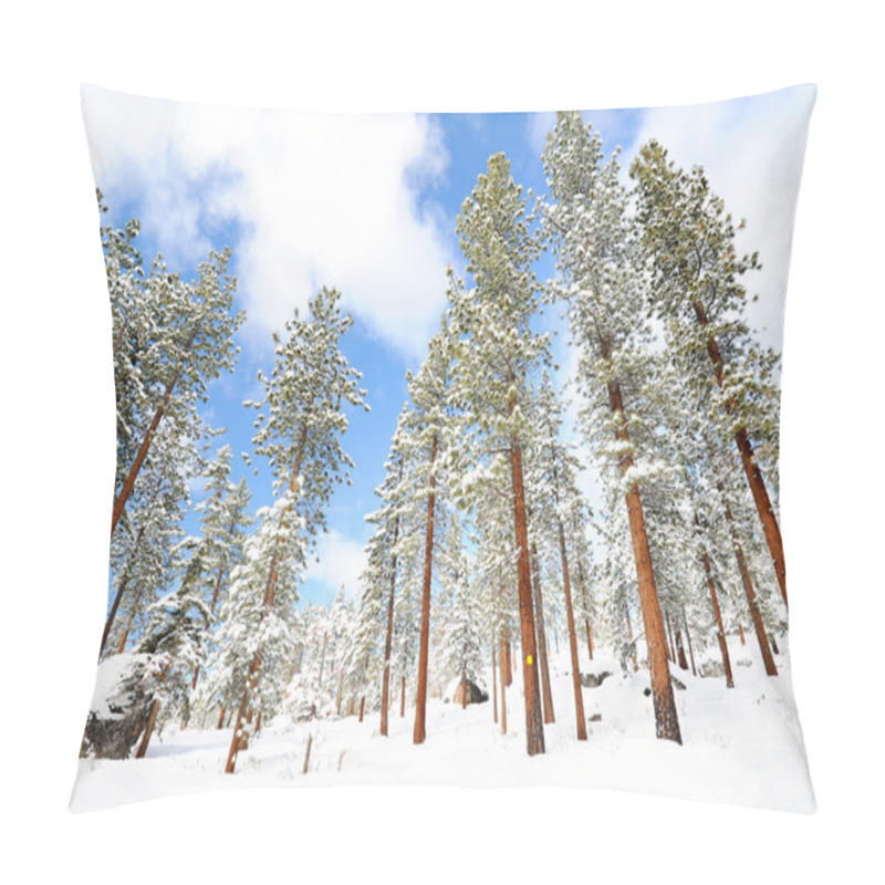 Personality  Tree On Mountain In Lake Tahoe Beach Pillow Covers