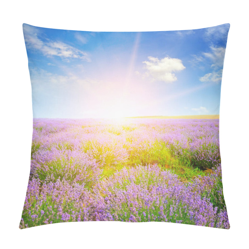 Personality  Beautiful Lavender Field At Sunset. Agricultural Landscape. Pillow Covers