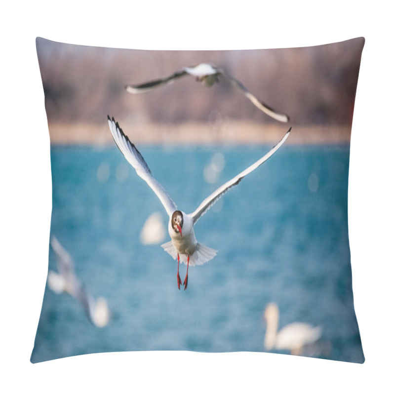 Personality  Swans And Other Waterfowls On The Sea Pillow Covers