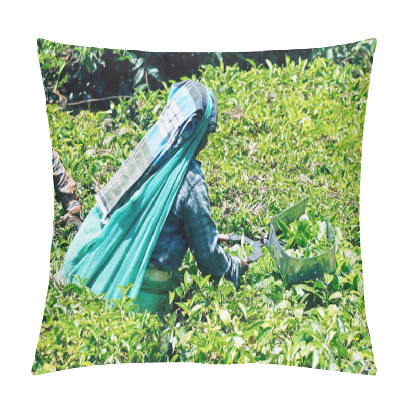 Personality  Tea Farm Worker Plucking The Tea Leaves In A Farm At Kerala Pillow Covers