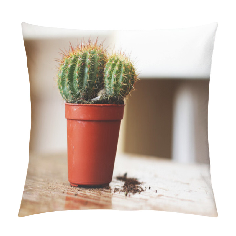 Personality  Cactus Pillow Covers