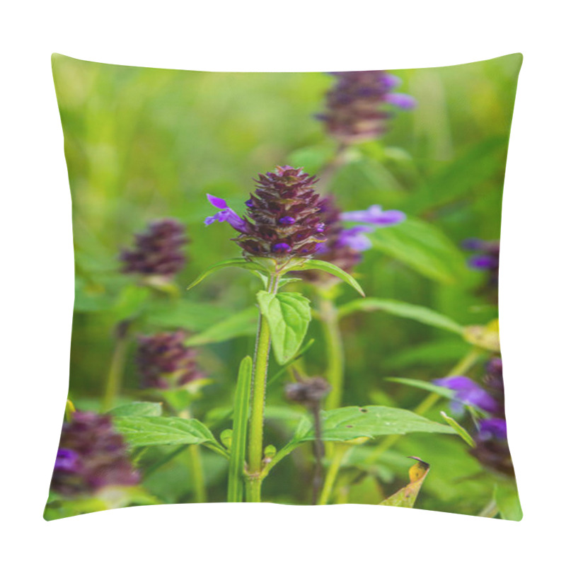 Personality  Prunella Vulgaris Makro Single Natural Flower, Medicinal Herbs Nature Background. Pillow Covers